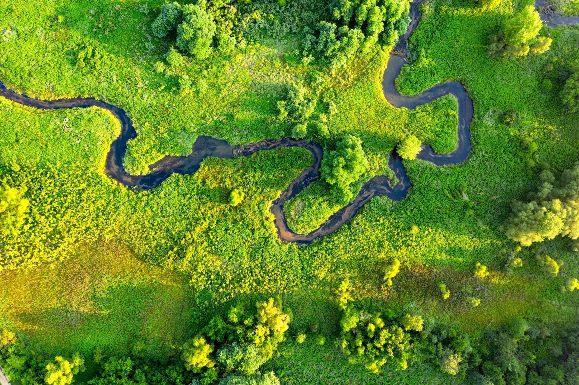 pexels-tom-fisk-9708018_1_11zon